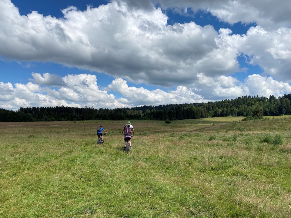 Traversée de pré bois