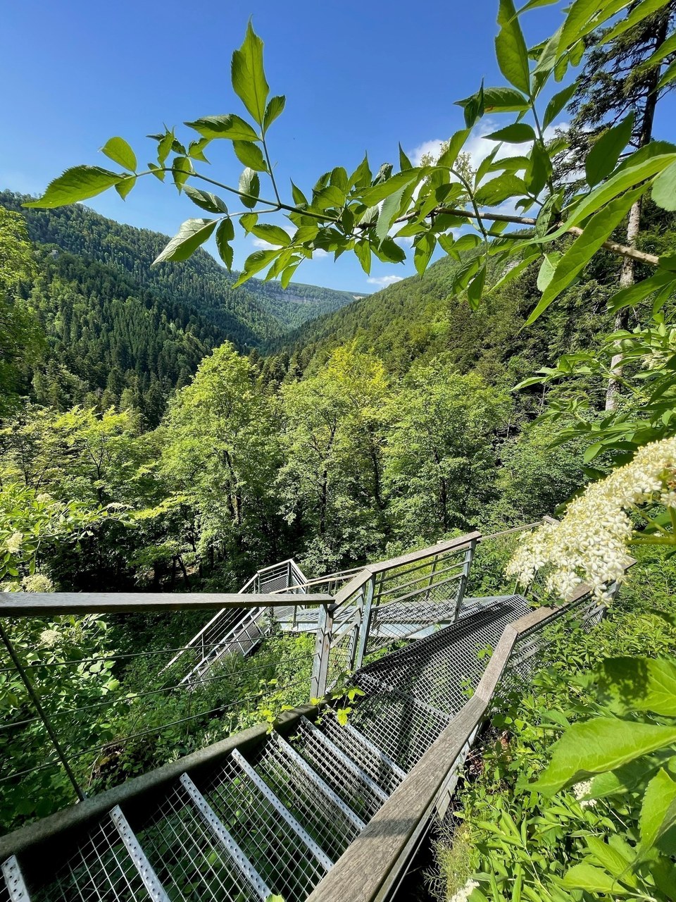 Vue depuis les escaliers