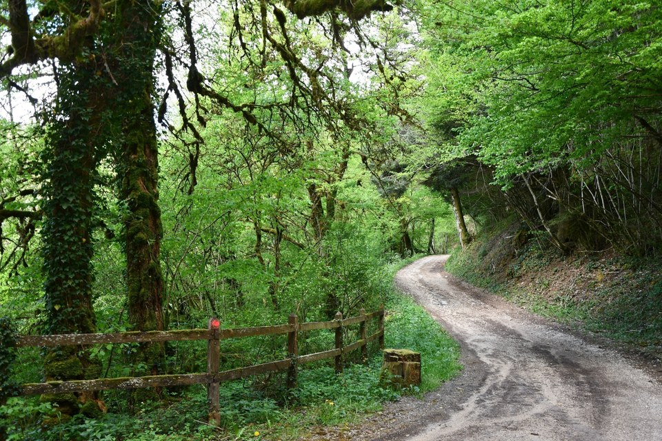 Sentier de le Rêverotte
