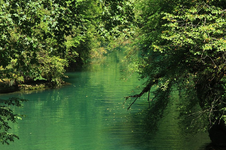 Autour de la source de la loue_DoubsTourisme_Philippe Lebugle (7)