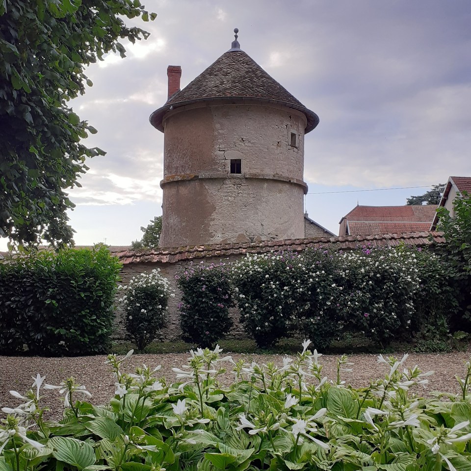 Patrimoine de Pin