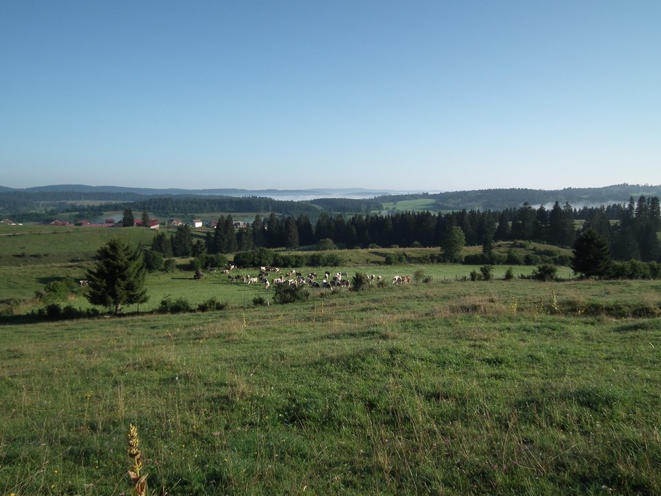 Les Chalets VTT n ° 98