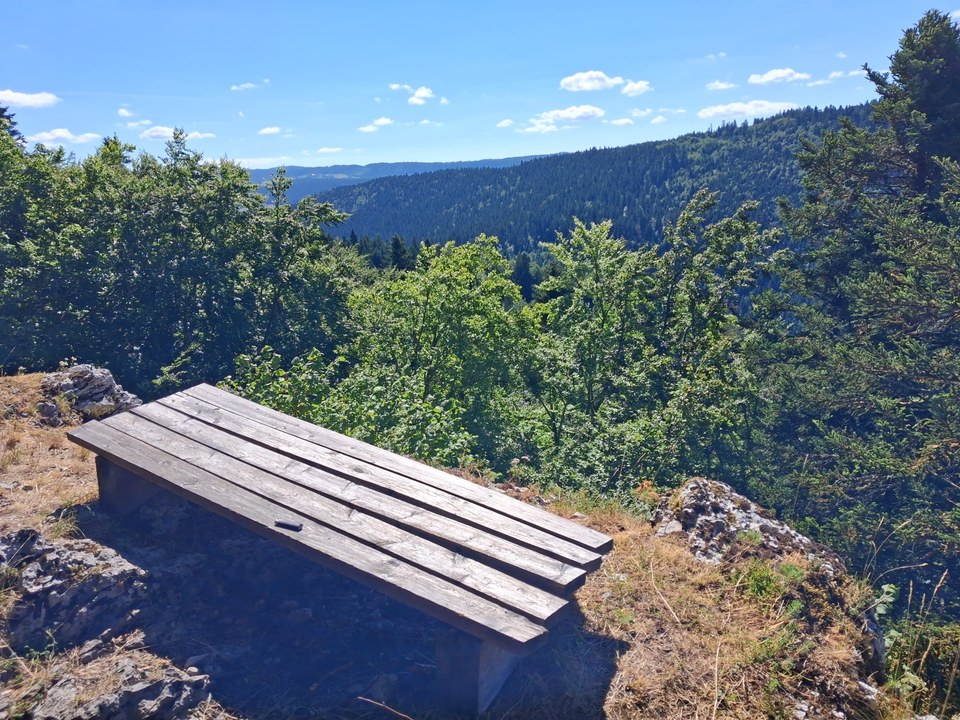 Mont Vouillot - N°86