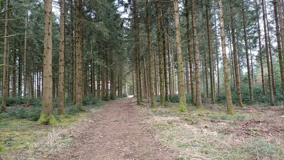 Sentier Vautran à Pierrefontaine