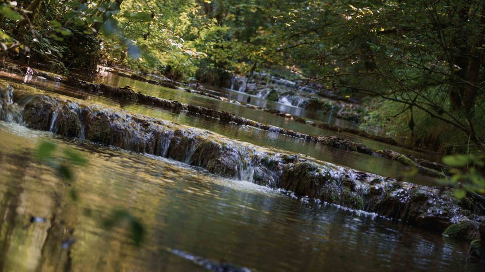 Ruisseau du Dard