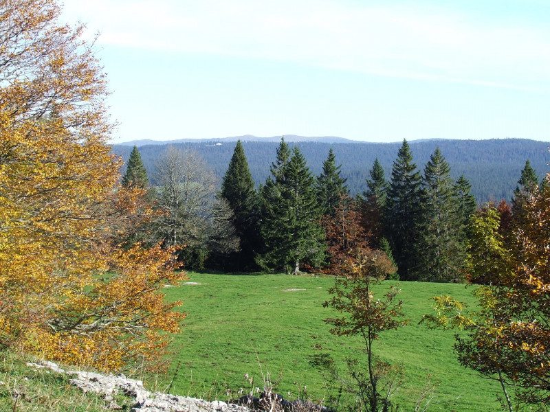 Pré d'Haut - N°25