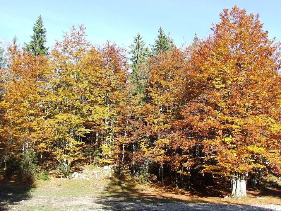 Les Prés d'Haut en automne