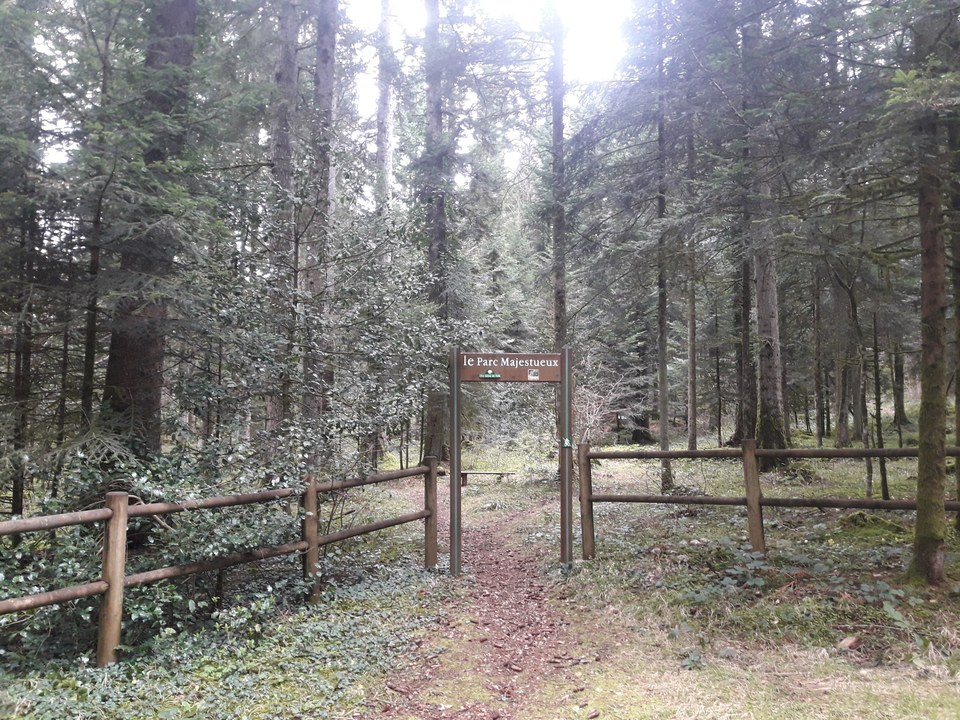 Parc Majestueux