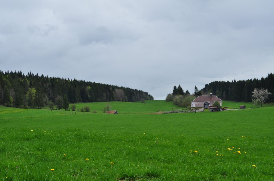 Combe de la Malmaison