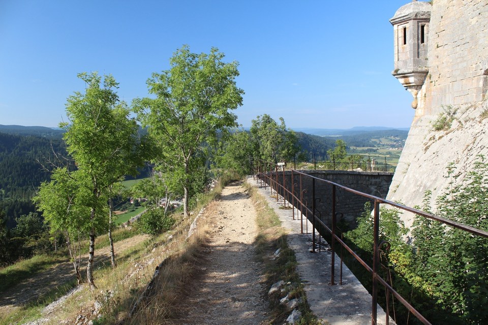 Fort Mahler