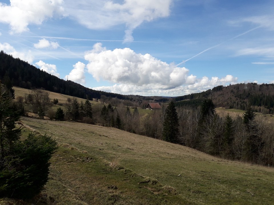 La Combe du Creux