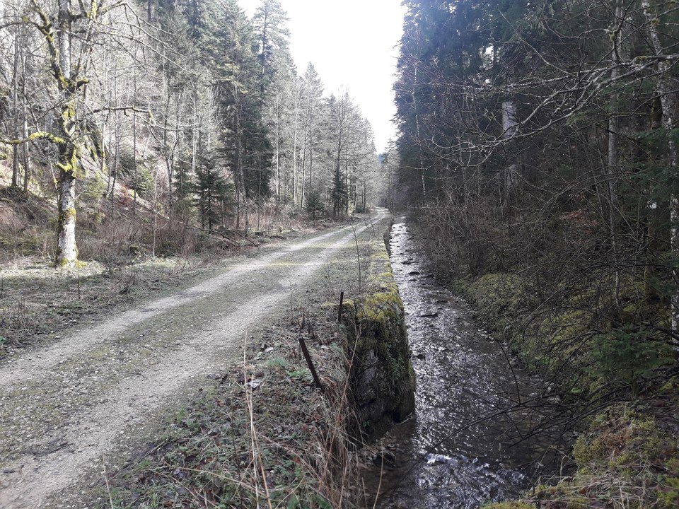 Ruisseau et chemin des Entreportes