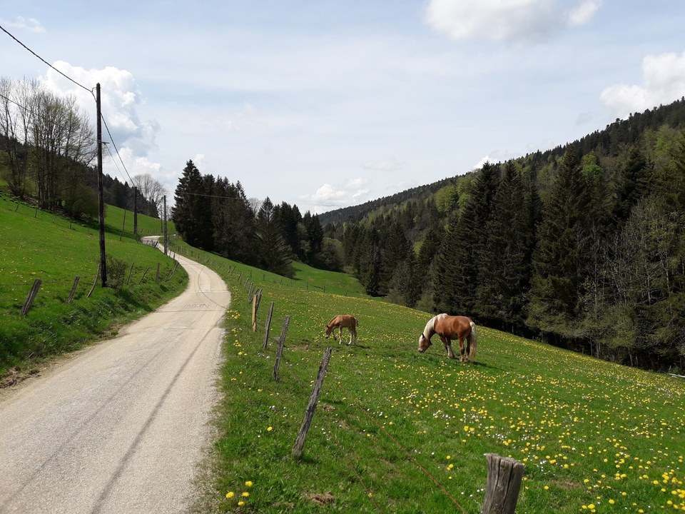 Tour du Grand Taureau