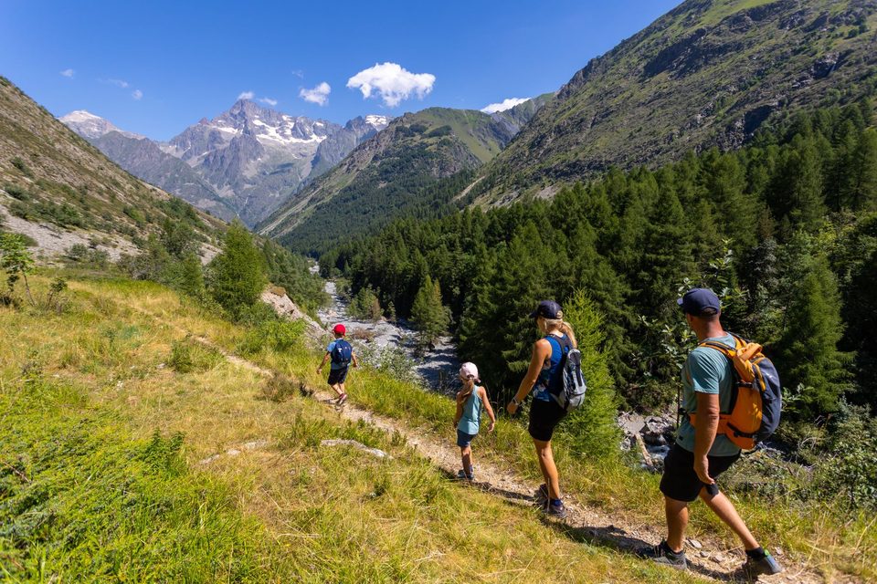 Le vallon de Navette