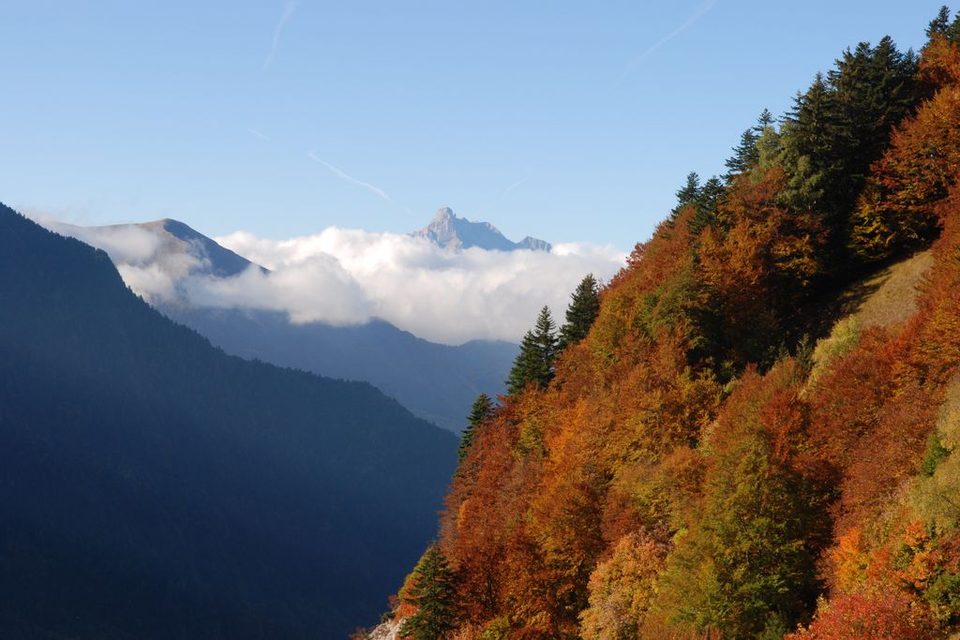 Vers le sommet du Touret en automne