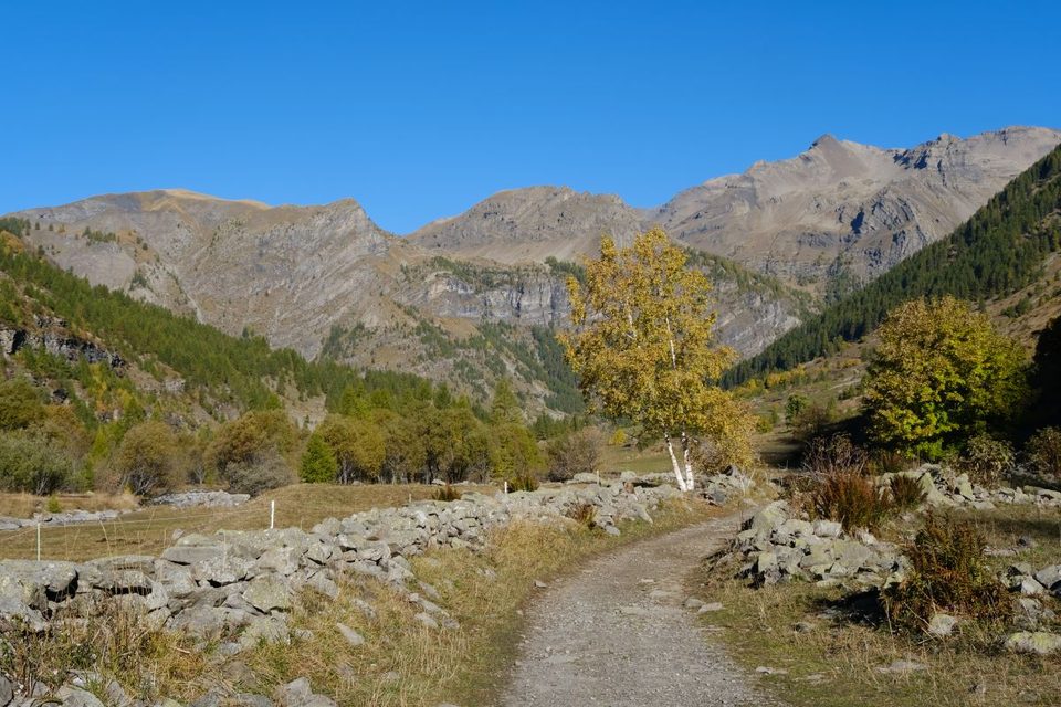 Plateau de Charnière en automne