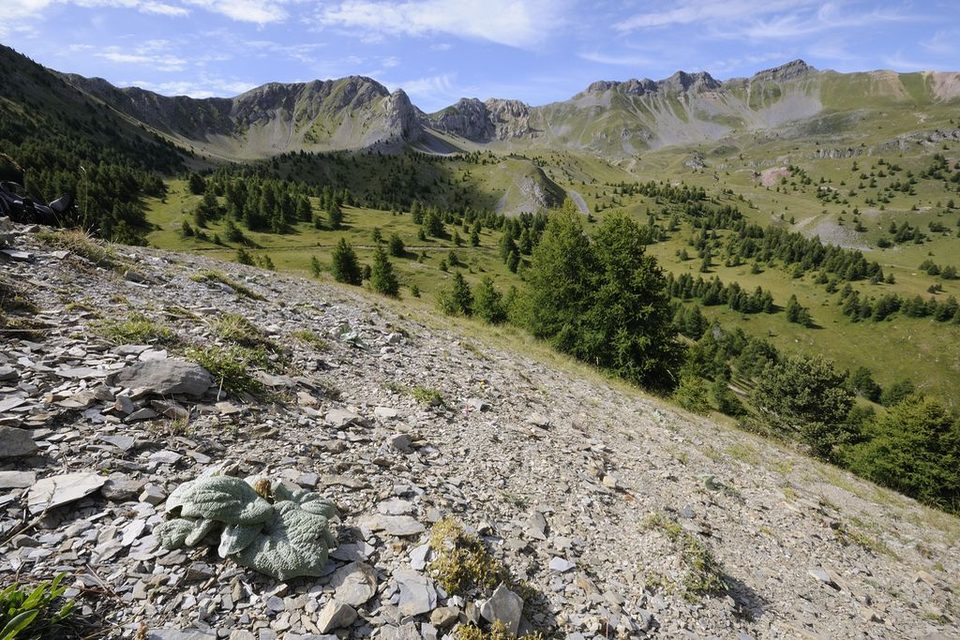 Le cirque de Morgon