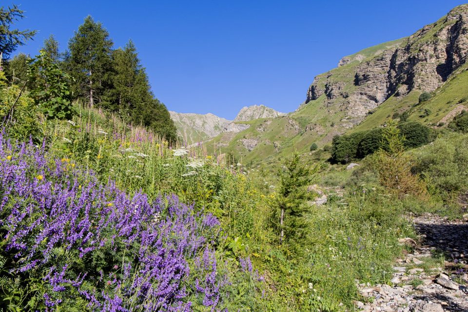 Montée au col de la Coupa