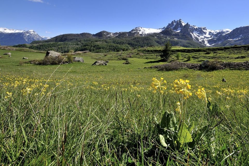 Les aiguilles de Chabrières vues du "Clot du Fort" au printemps