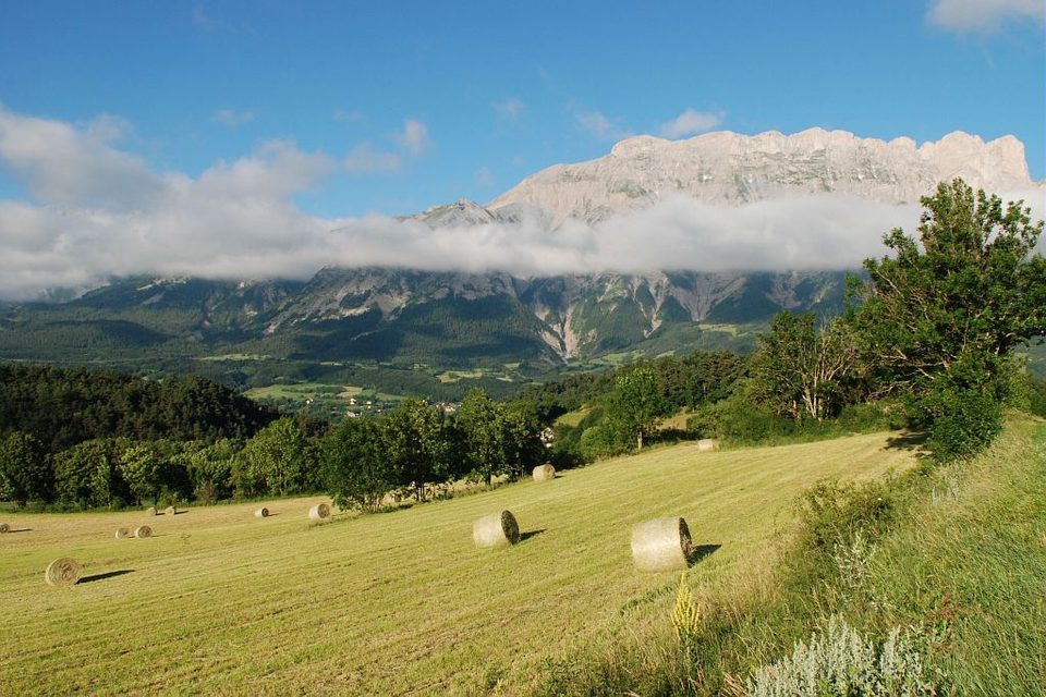 Champ fauché et balles rondes de foin à Beaurepaire
