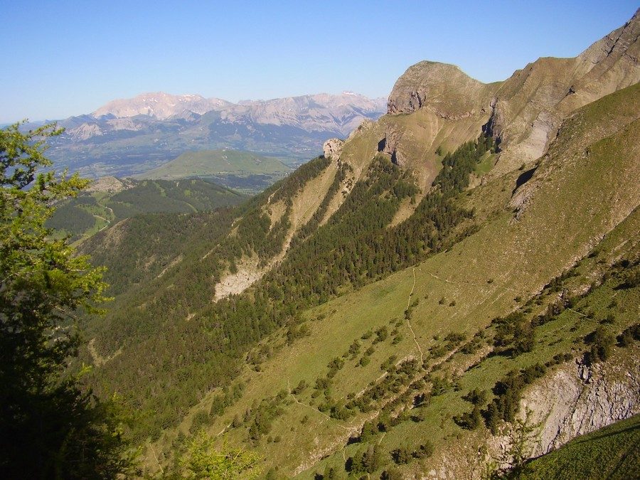 Le Piolit
