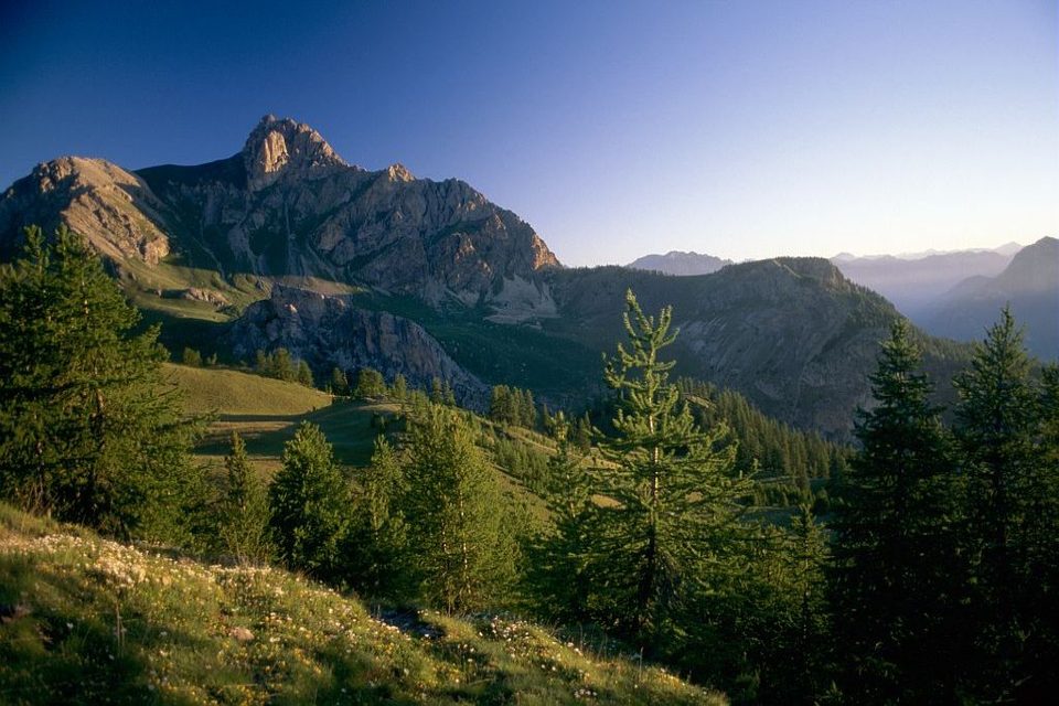 Trail N°14 - Maxi Goureng