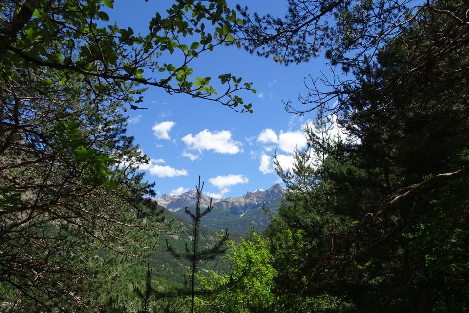 SENTIER THÉMATIQUE : Le Sentier du Cloutas