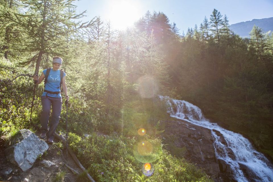 SENTIER THÉMATIQUE : Le Sentier du Mélézin