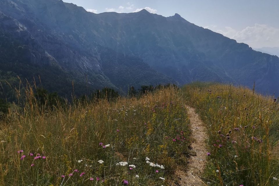 Sur le sentier du Col du Morgonnet