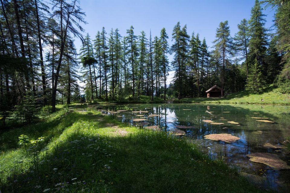 Lac du Lauzerot