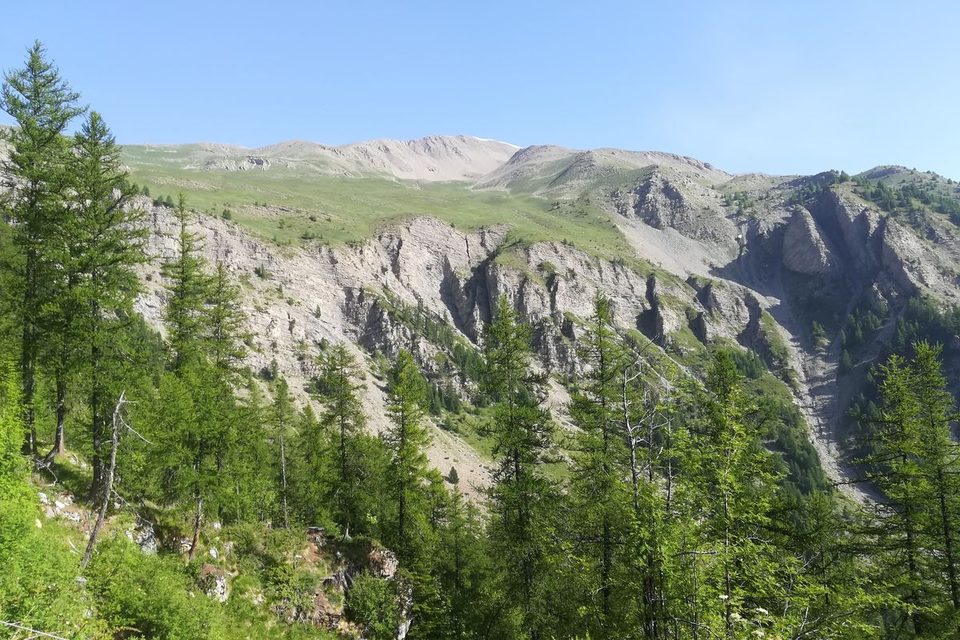 Zone de paturage au dessus de la Cabane de l'Aiguille