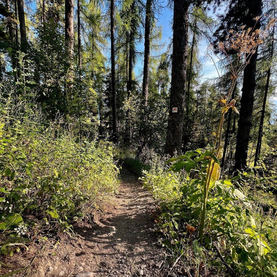 Départ de la descente des Orres