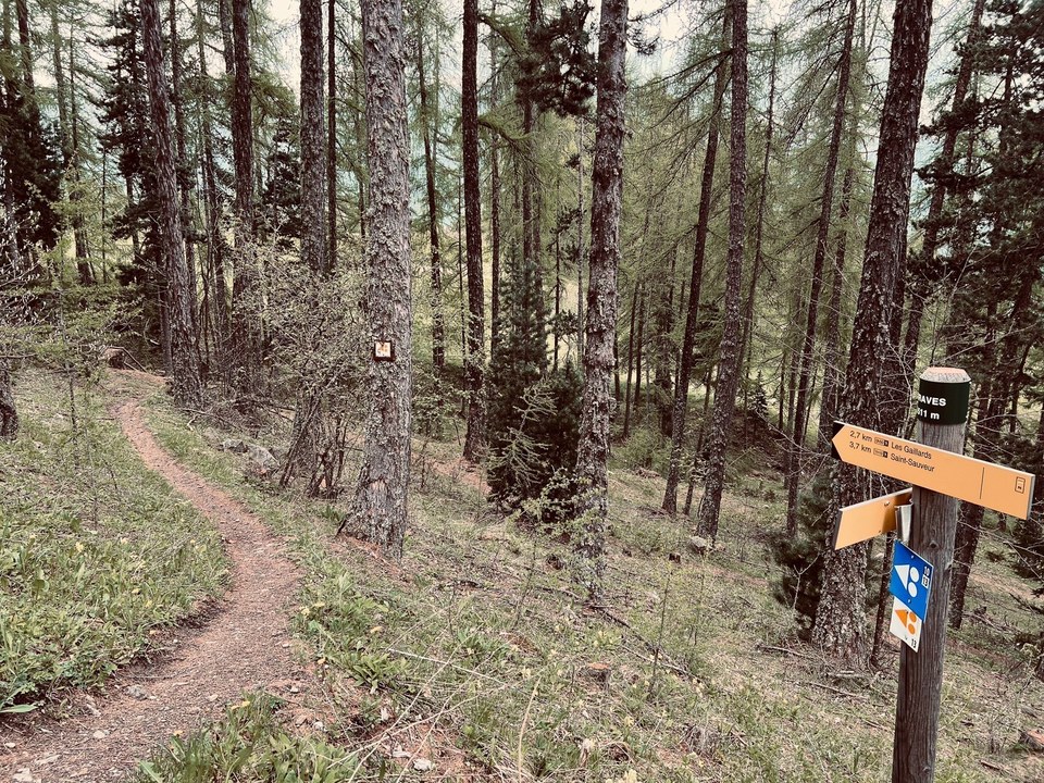 Single de descente des Orres