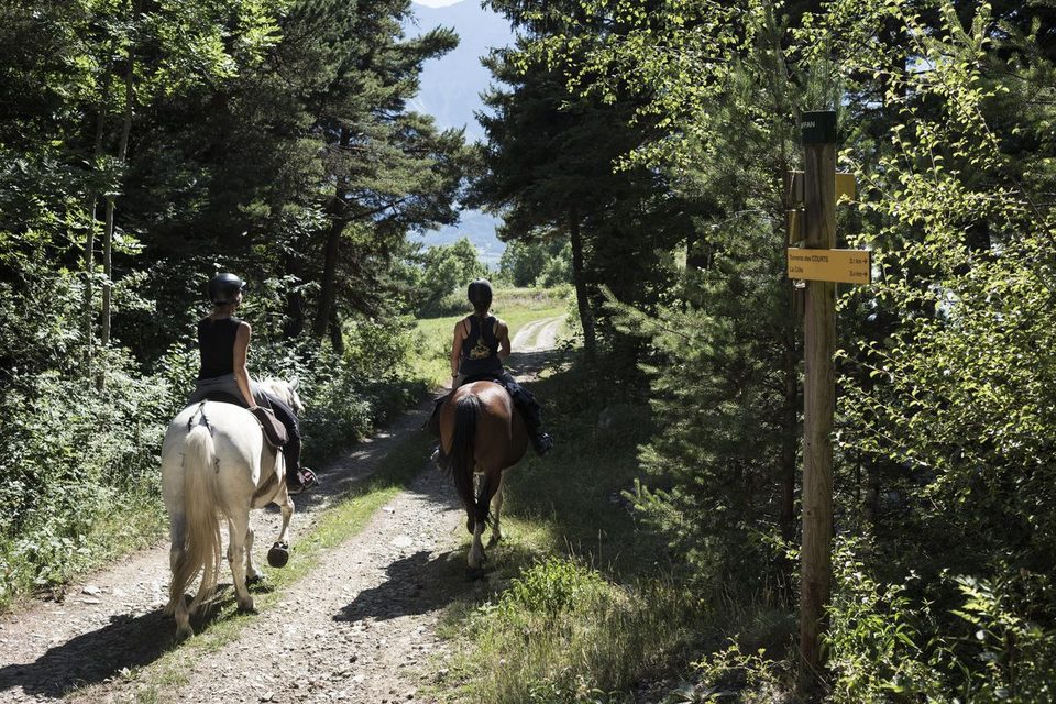 Randonneur à cheval