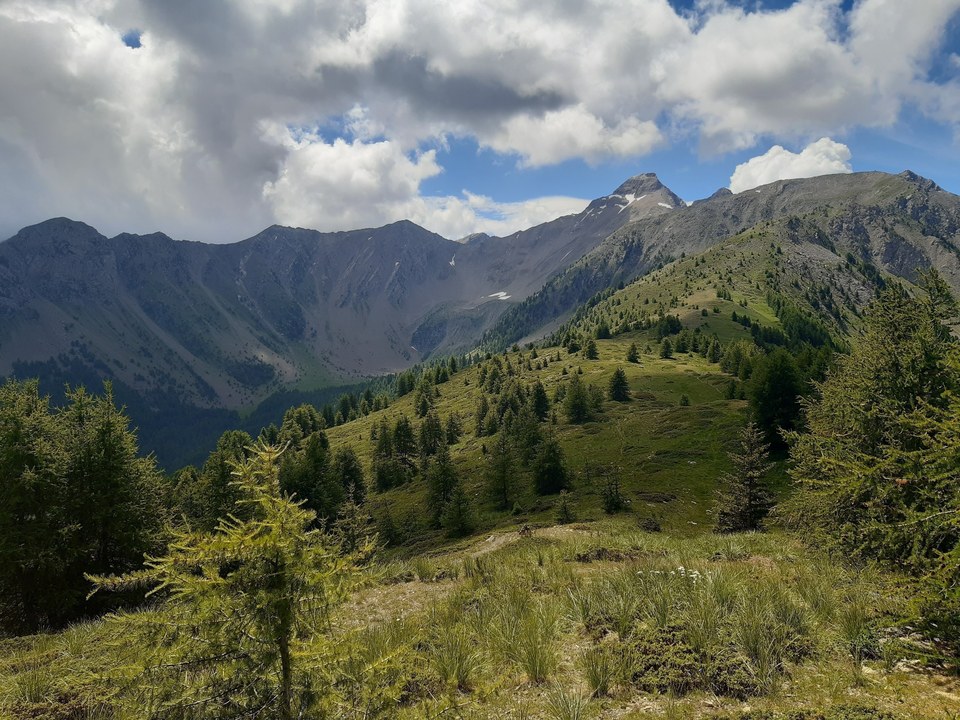 Crête du Lauzet