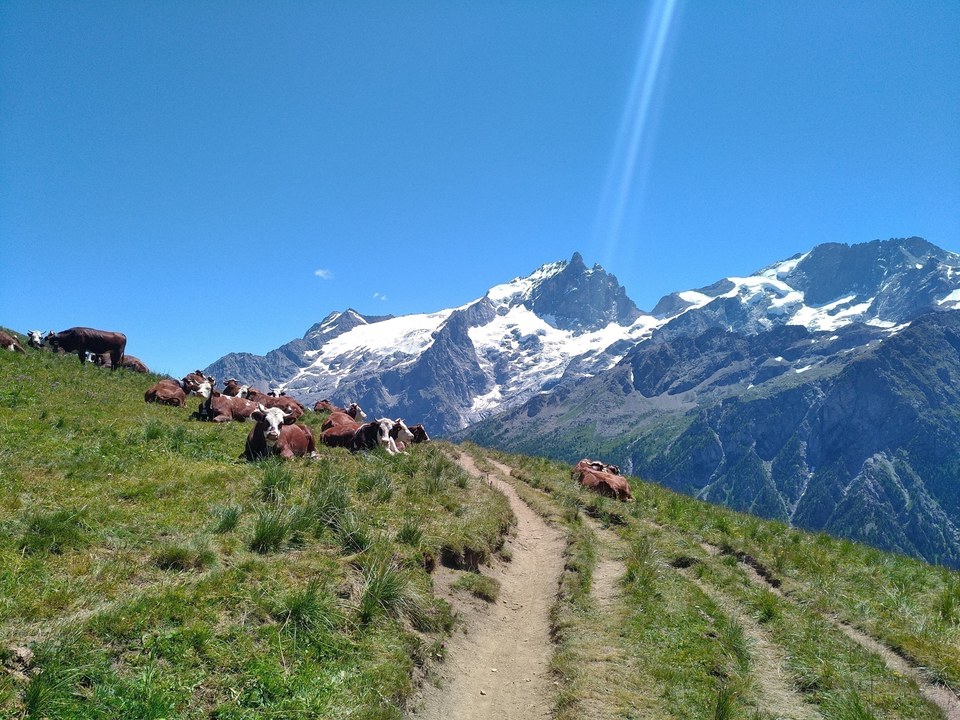 12 - Tour du Plateau d'Emparis