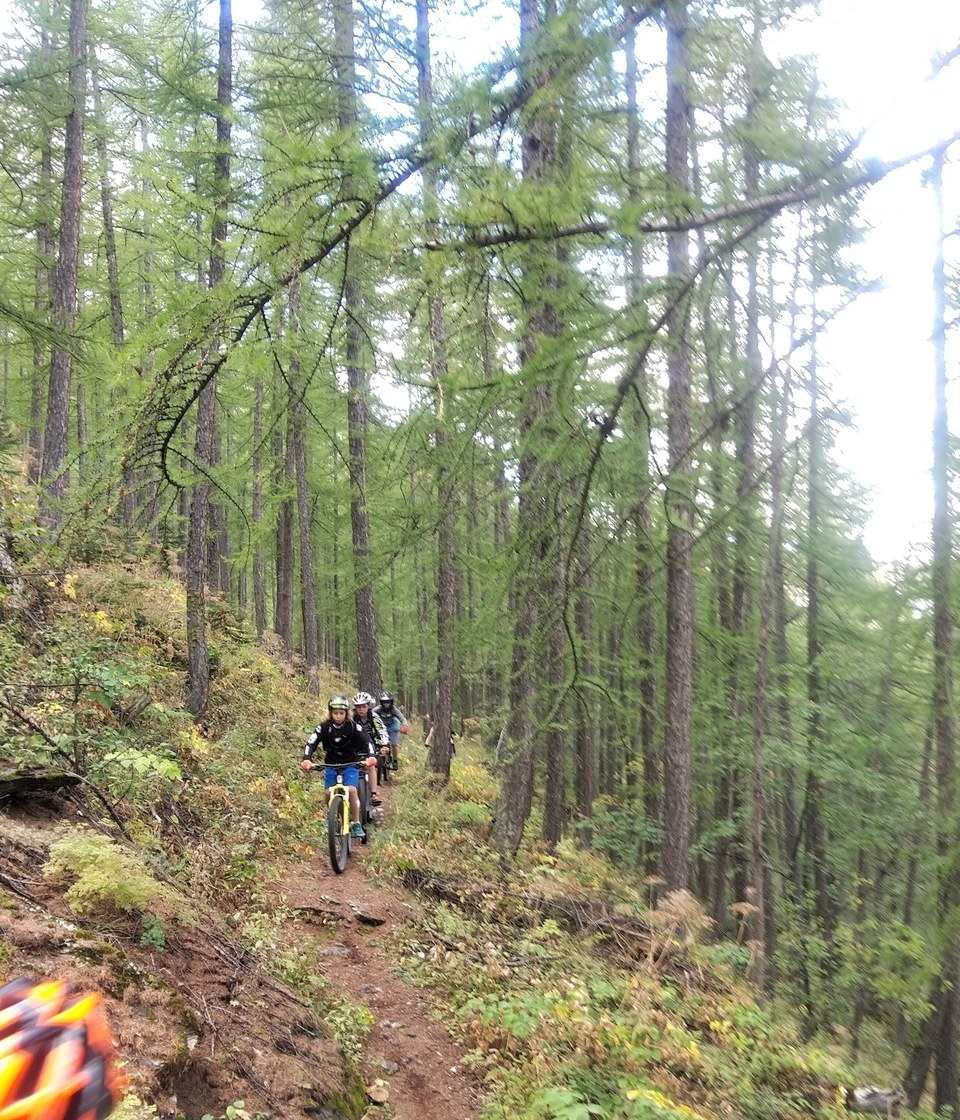 Descente en forêt en direction deClot Gaillard
