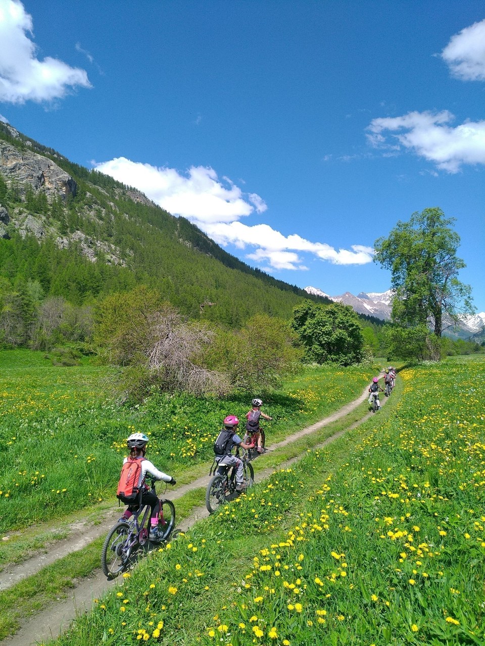 Balade à travers les champs de la Guisane