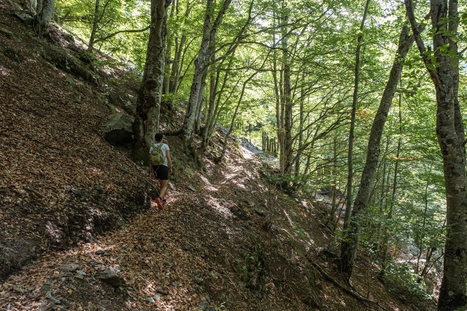 Chemin de ronde