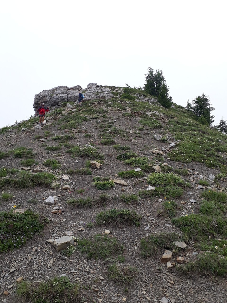 Descente entre sommet et col du Palastre