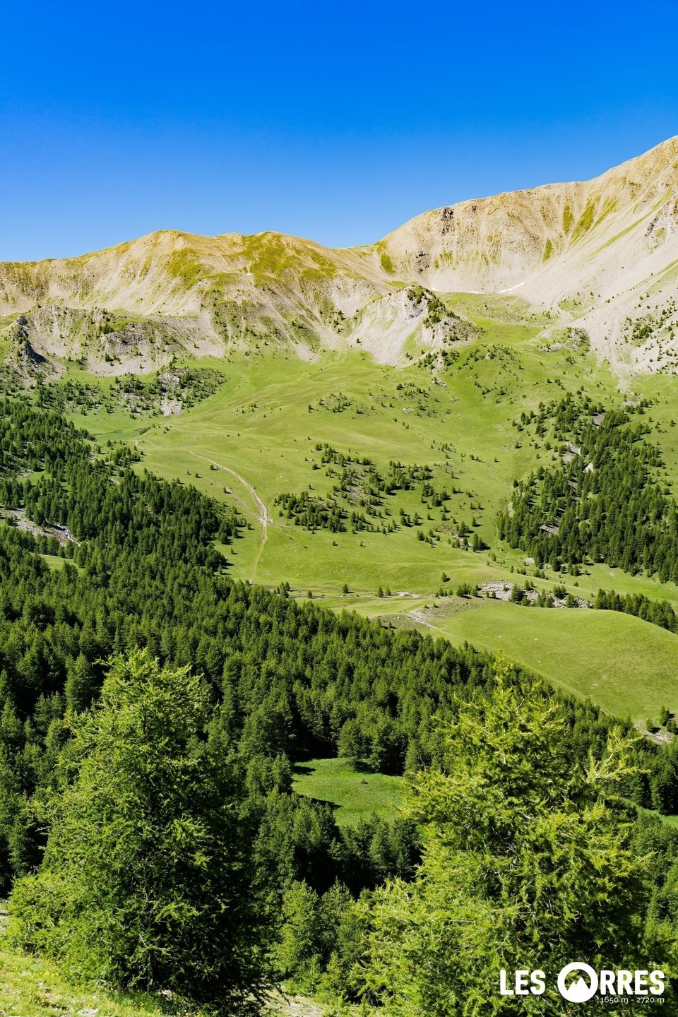 LesOrres_WillyCamus06.07.2020-21-min