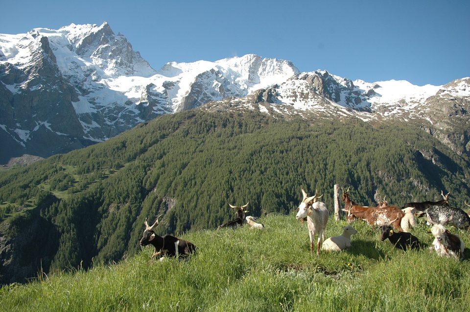 De La Grave au hameau de Ventelon