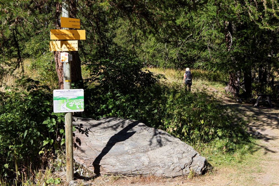Vers la cabane des grands plans