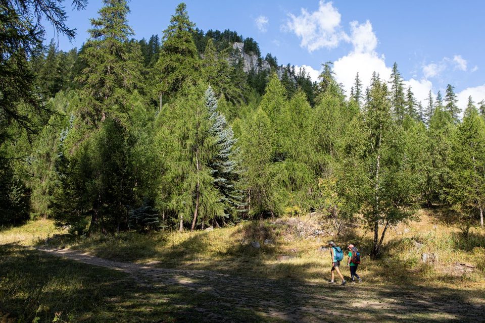 Plateau d'Oréac