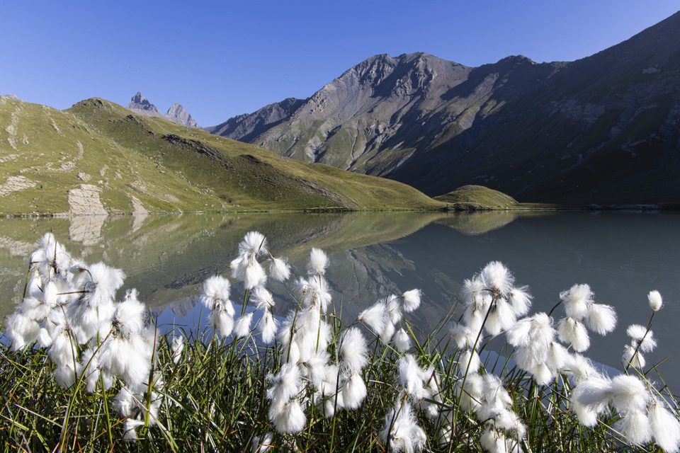 Lac du Goléon