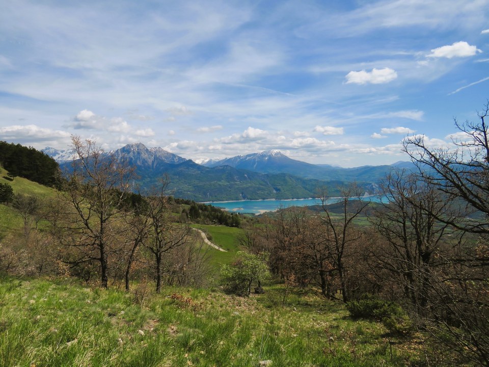 IMG_0647