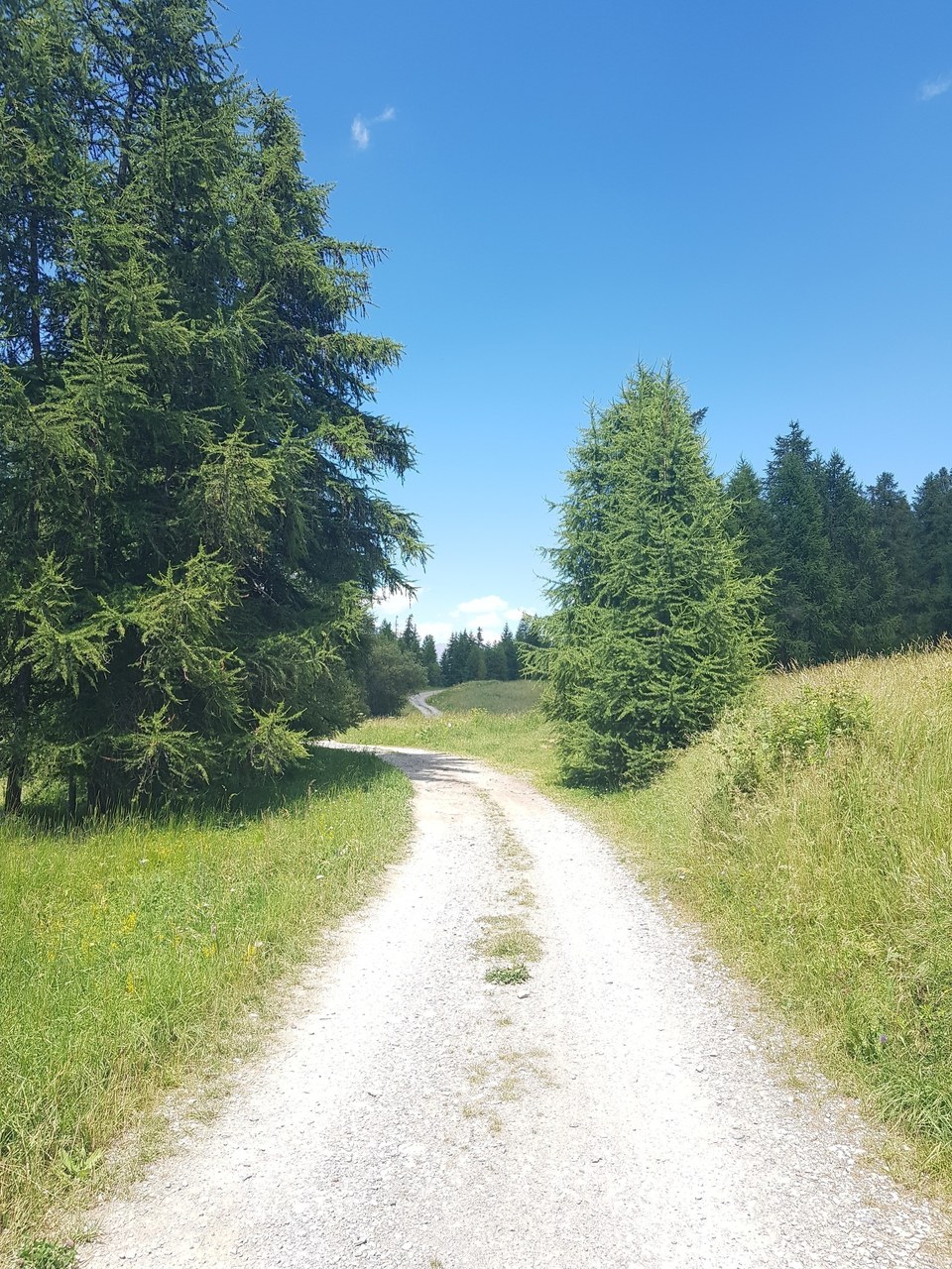 Plateau de la Draye