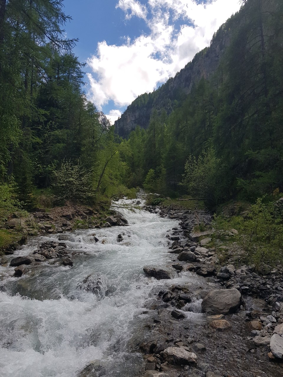 Torrent de l'Eyssalette