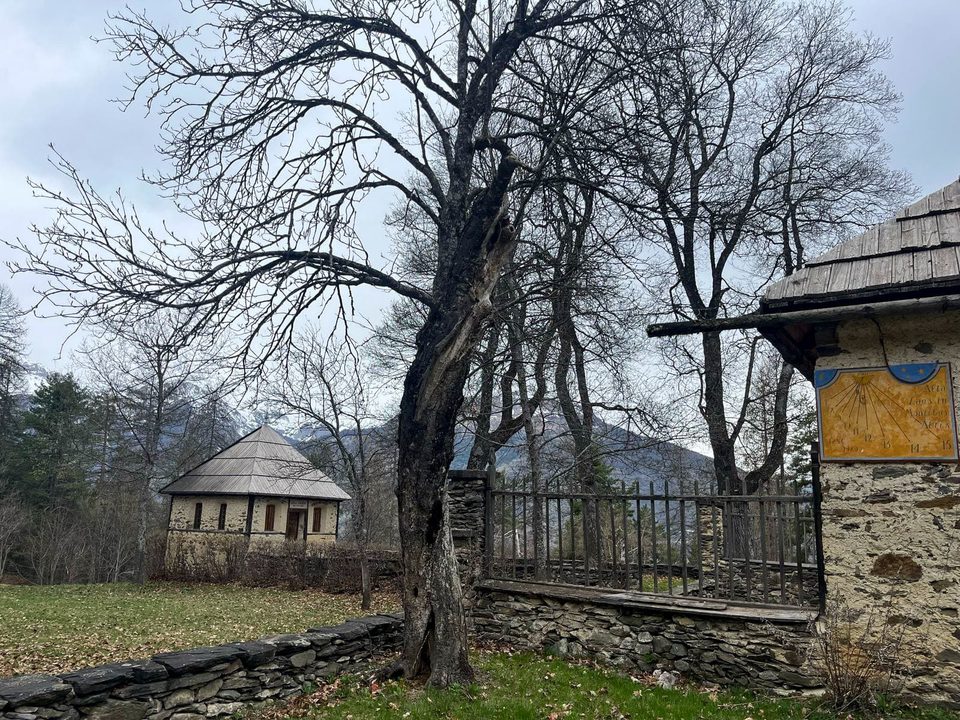 Villar St Pancrace Clairière du Lauzin, trail, printemps ©️Gabriel CHARLIER