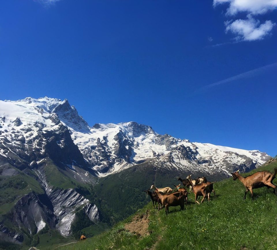 Vue sur la vallée de la Haute Romanche